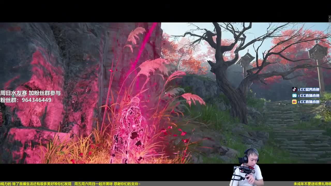 带水友 水友之王 第2段