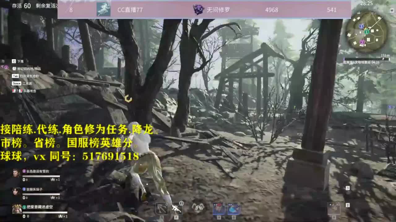 接！陪连，带连，屠龙，修为 第1段