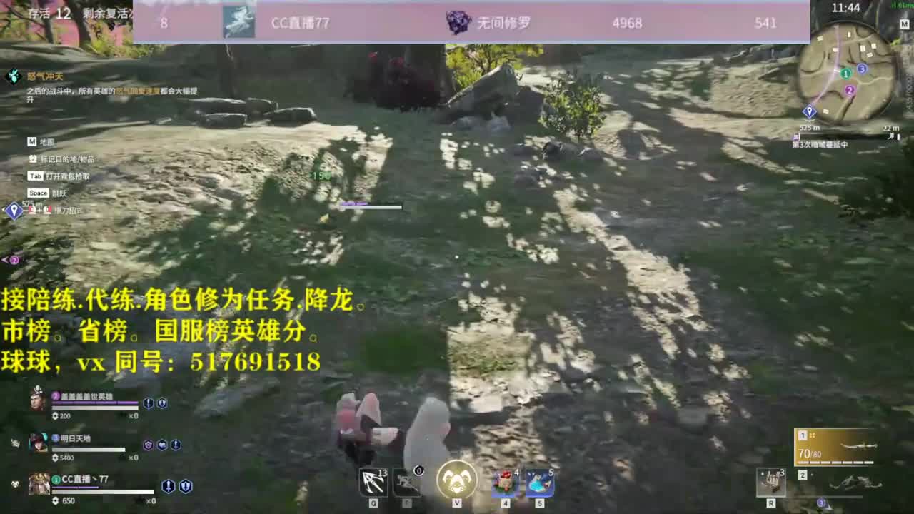 接！陪连，带连，屠龙，修为 第1段
