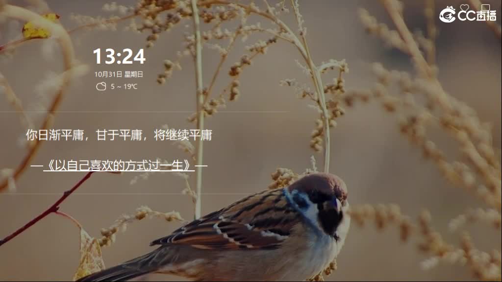 免费接所有资源 10点抽1000