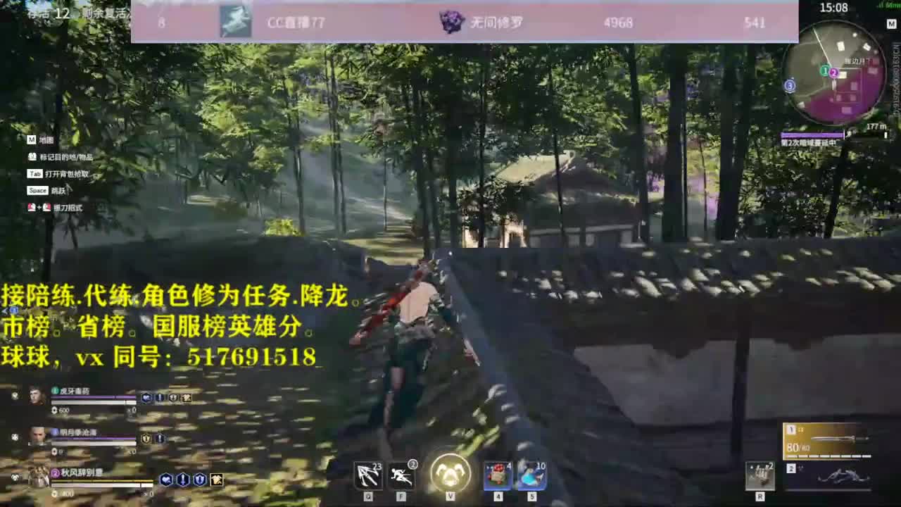 接陪连，代链，修为，屠龙！！！
