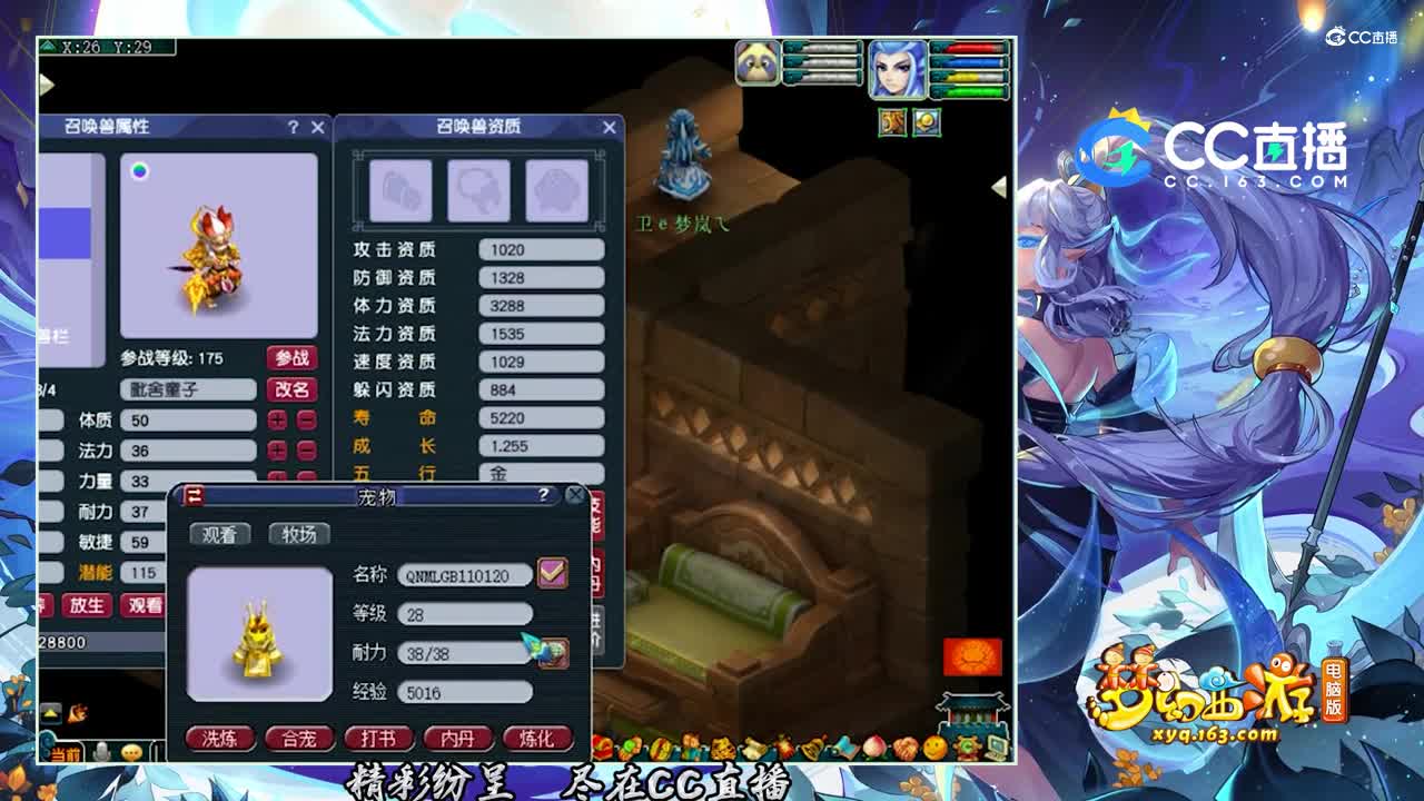 【打书炼妖】超级炼妖8+12你一定没见过【CC情报站】