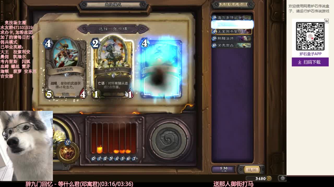 【Diggy】先竞技场后佣兵清任务 第2段