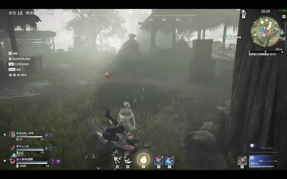 萌新