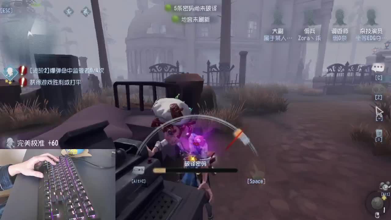 新主播，多关照。