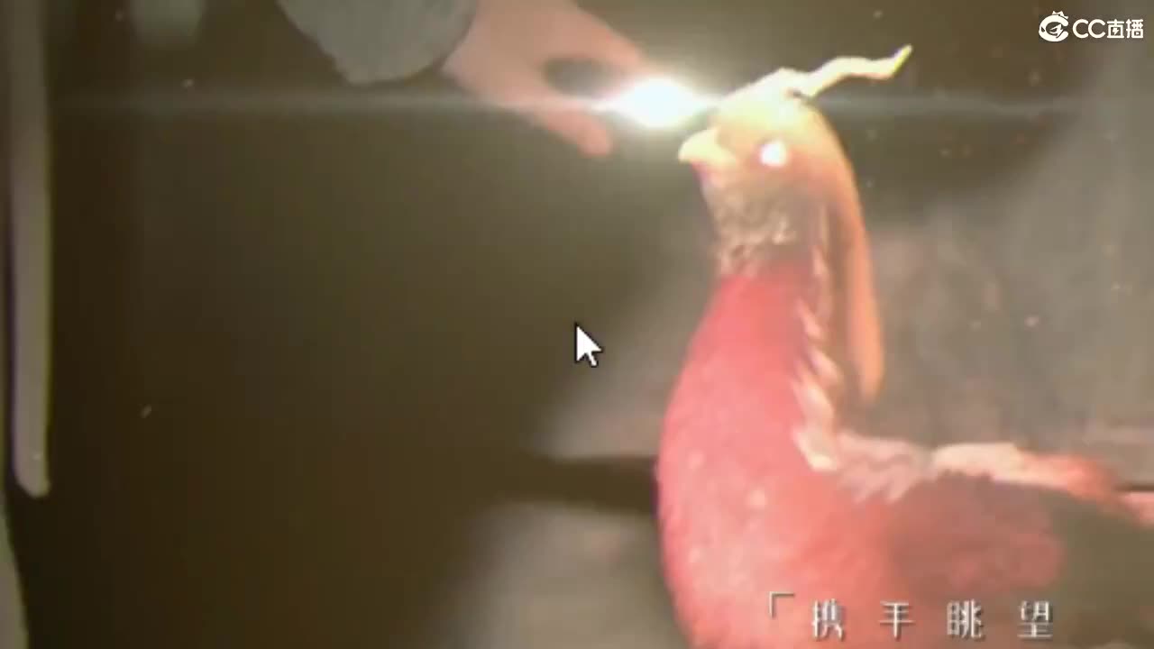 唱歌坤坤是认真的！ 第1段