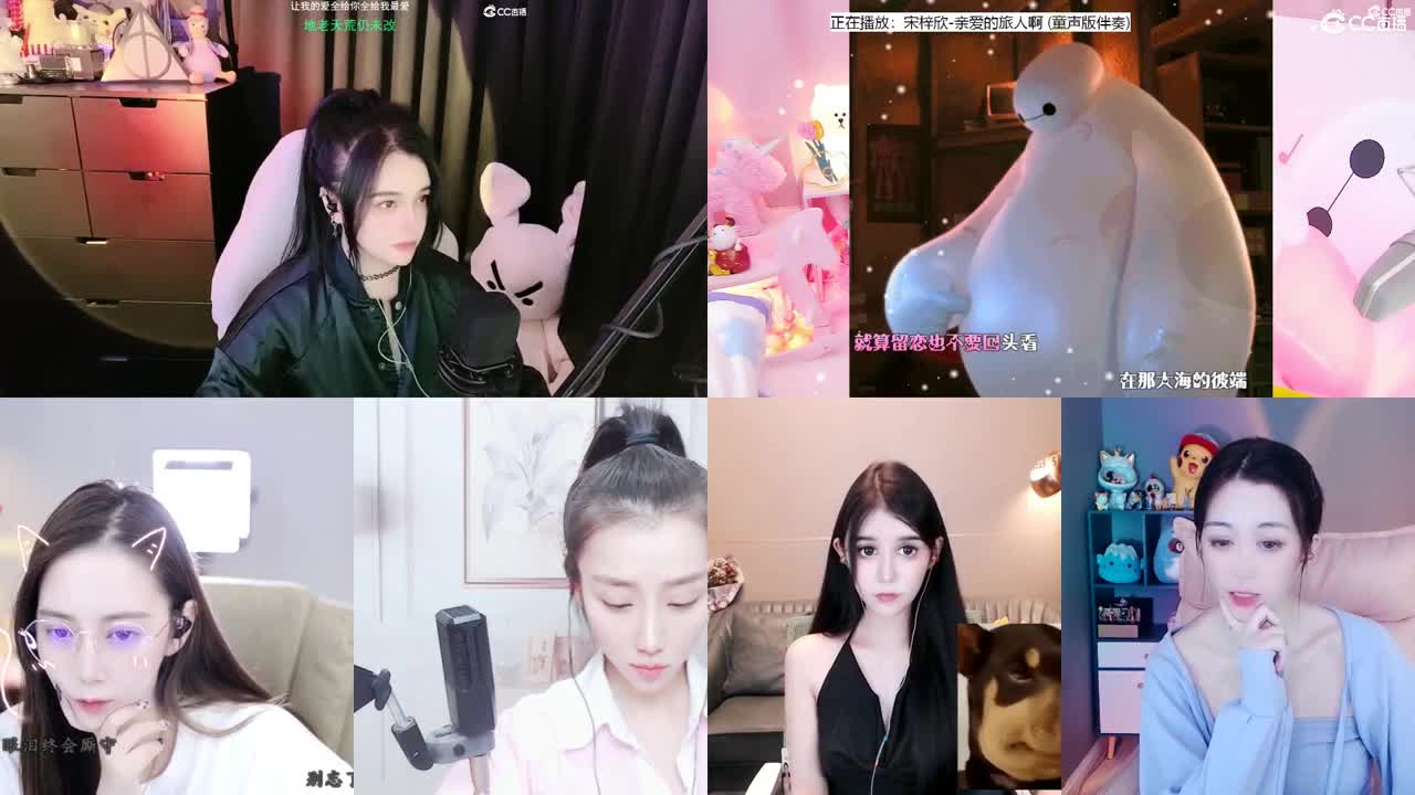唱歌的勇武菜猪