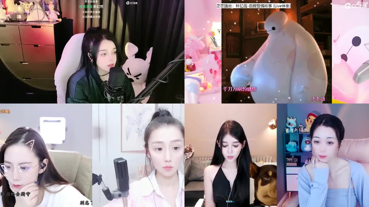 唱歌的勇武菜猪