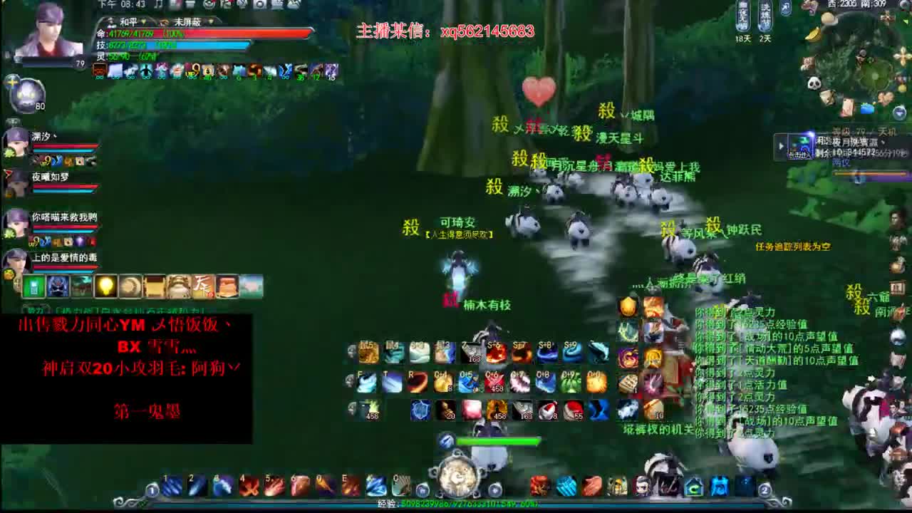 飞鸿势力战
