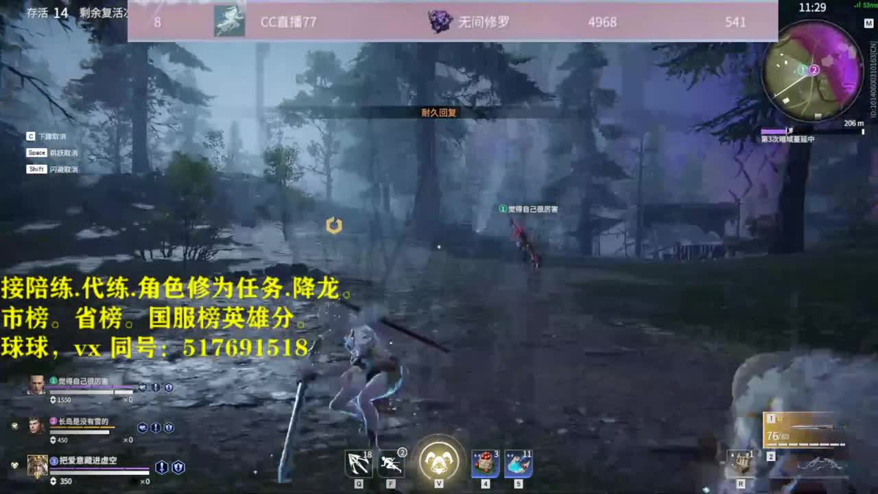 接陪连，带链，屠龙，修为任务！