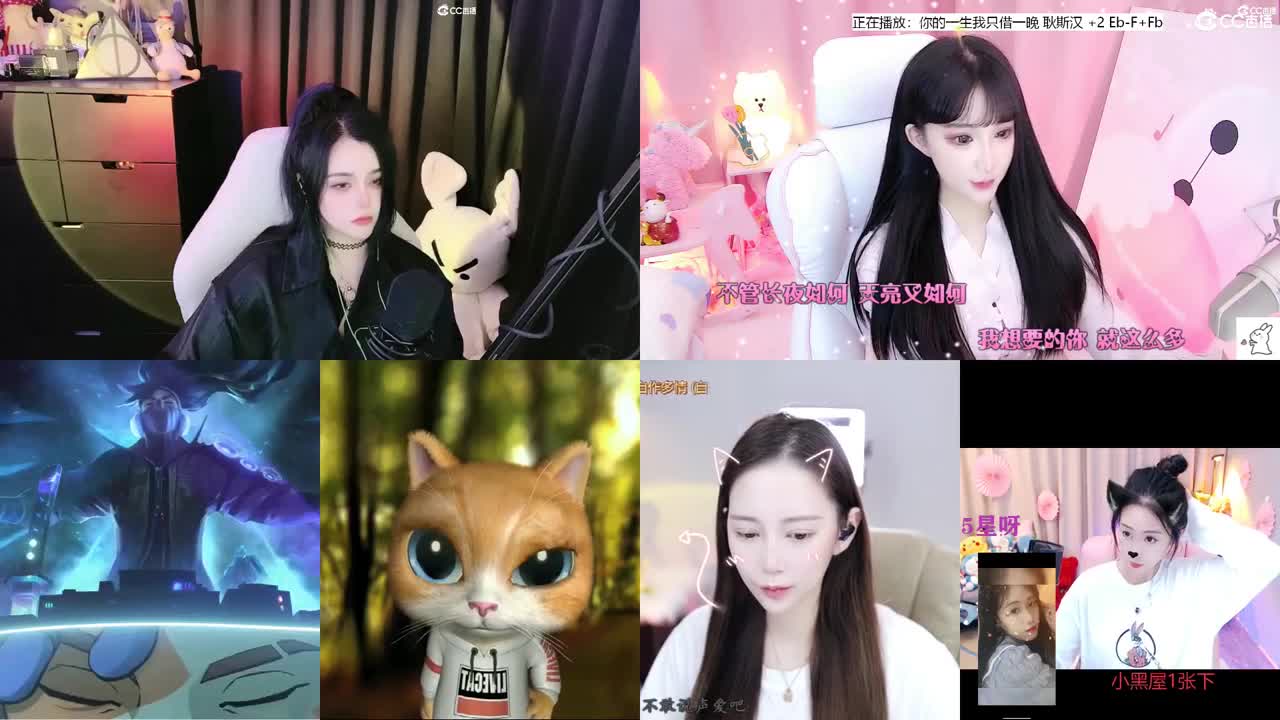 唱歌的勇武菜猪