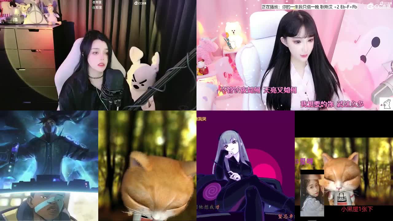 唱歌的勇武菜猪