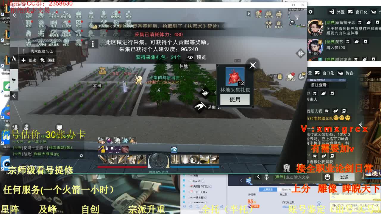 新手导师  看号   提修  账号估价 第2段