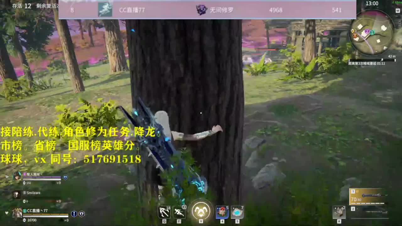 接陪连，带链，屠龙，修为任务！ 第2段