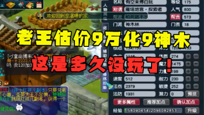 梦幻西游：老王估价9万的化9神木林，这多久没玩了？灵饰没套装！