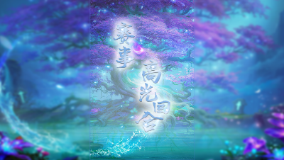 【三界之星邀请赛-冬季赛】勇武组第一轮：德云皓子VS秃头宝贝精彩回合