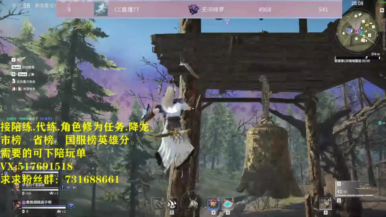 接陪连，带链，屠龙，修为任务！