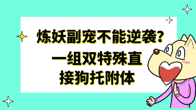 梦幻西游：谁说炼妖副宠不能逆袭？一组双特殊直接狗托附体
