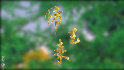 【天下3】喝最美的酒，睡最烈的人