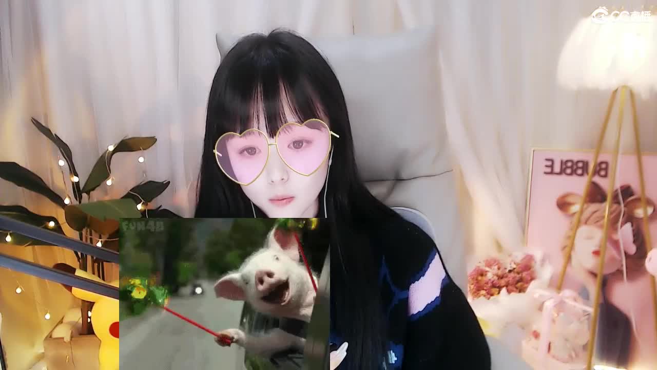 69广东地区白云山