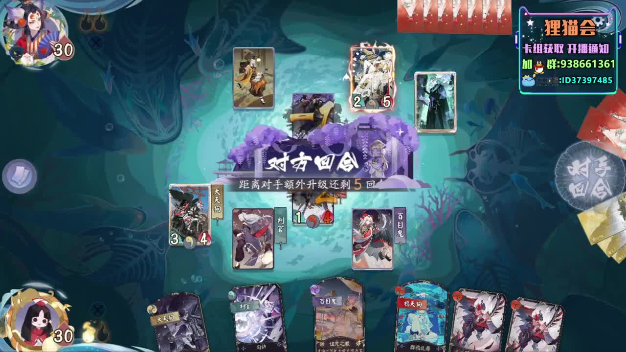 各种连胜【狸猫会】 第2段