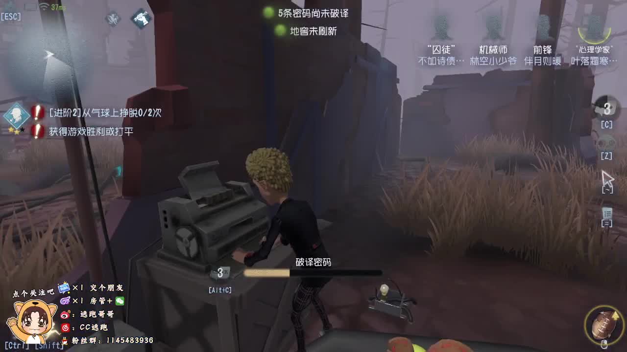 借了个号打打排位