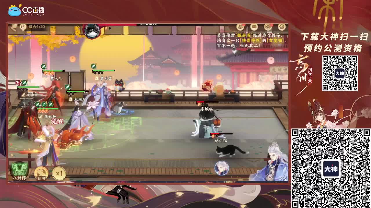 小仓鼠
