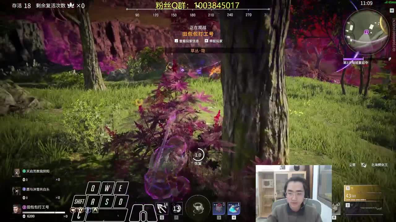 鸽子回笼~！ 第2段
