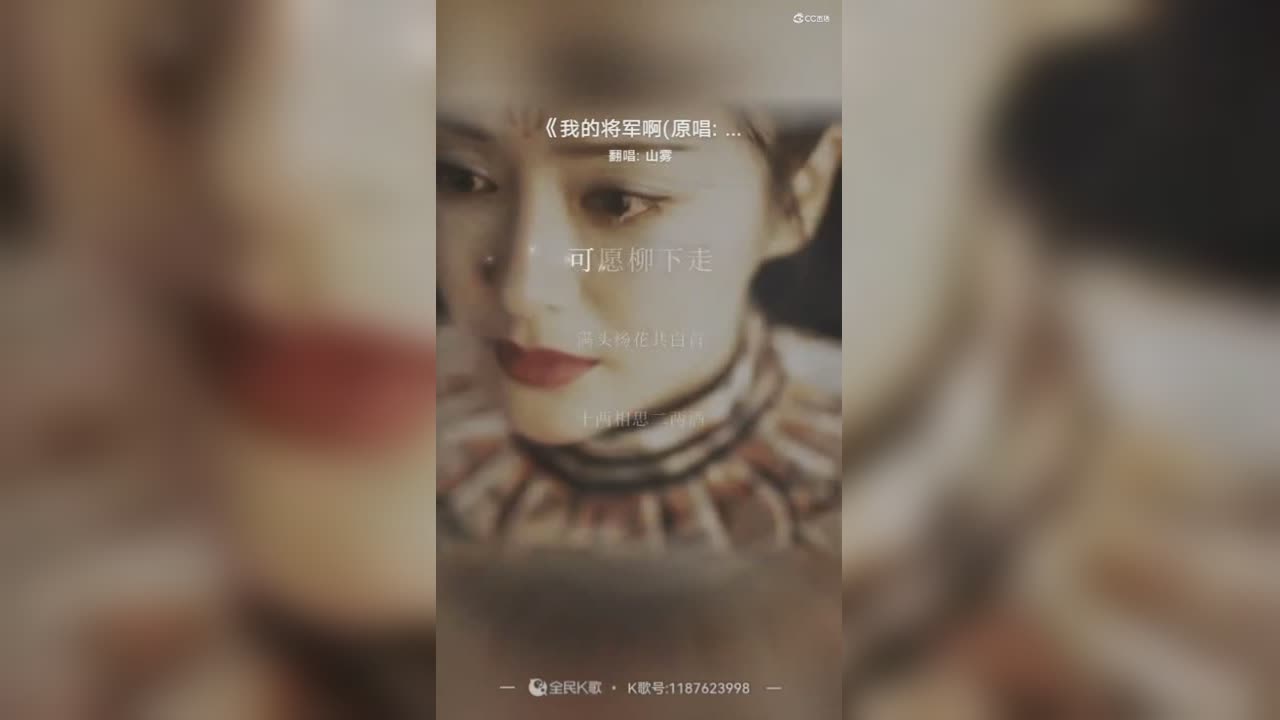 我的将军啊