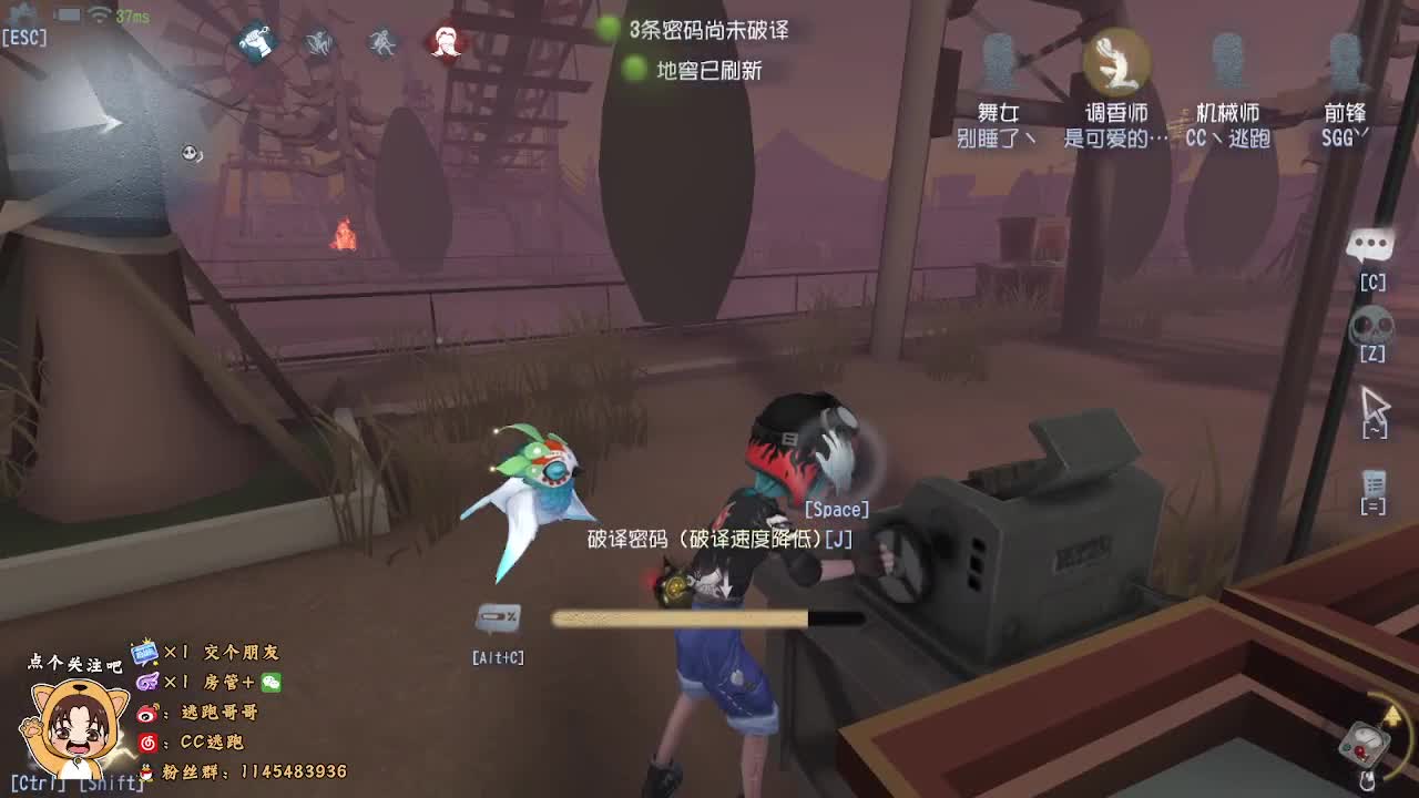 借了个号打打排位