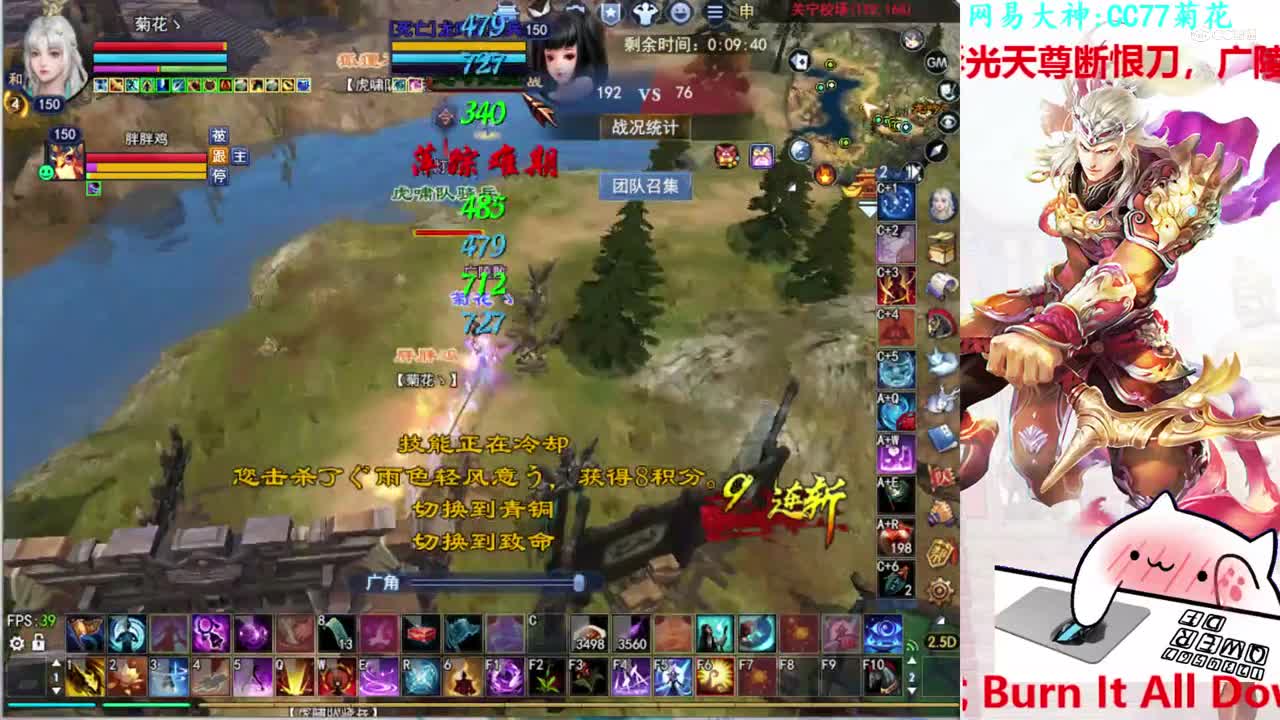 菊花150司星2