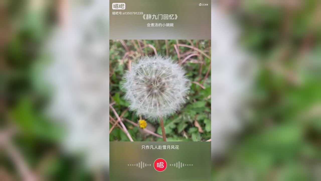 辞九门回忆