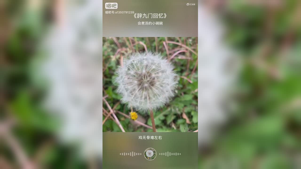 辞九门回忆