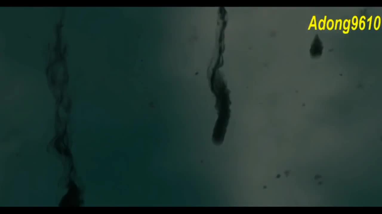 看直播。领金卡 第1段