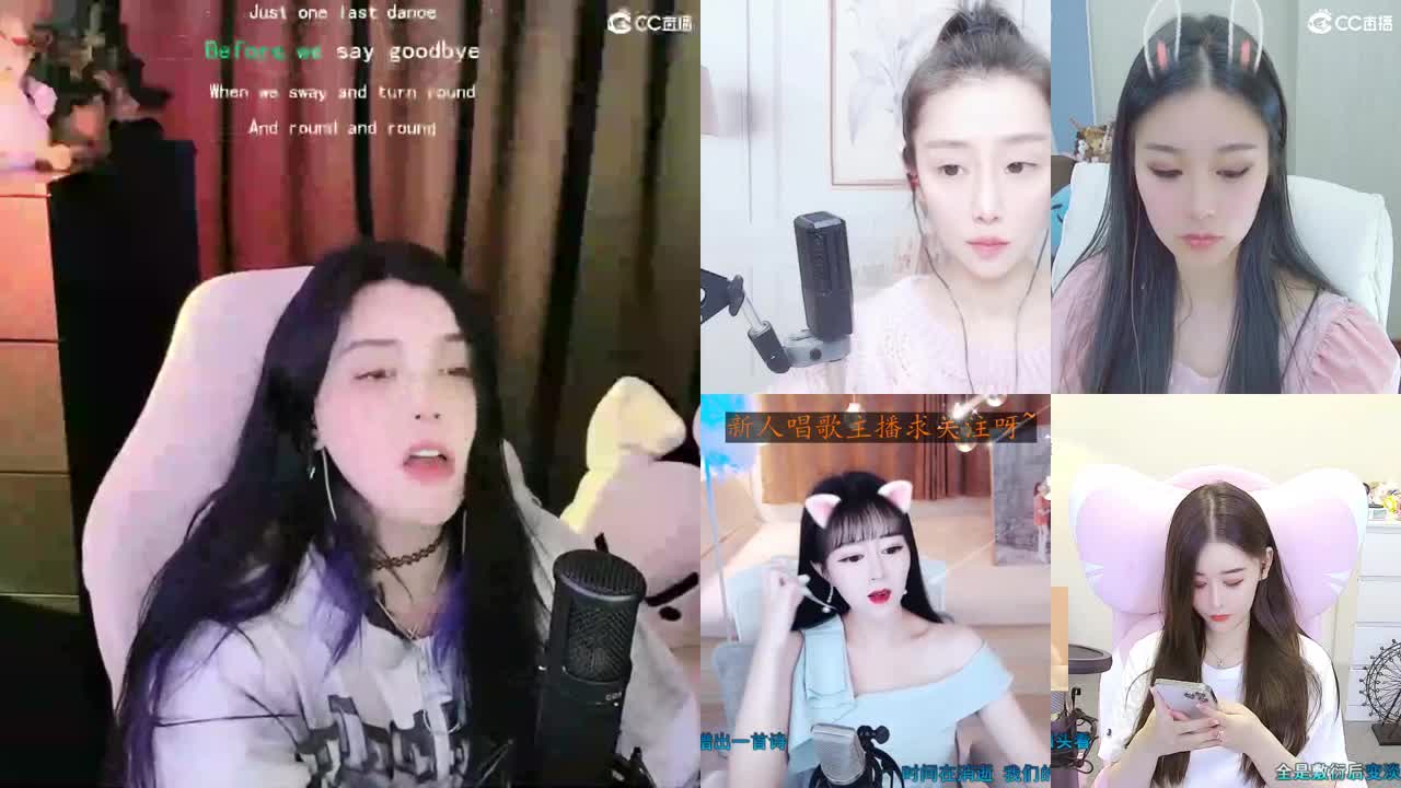 唱歌的勇武菜猪 第1段