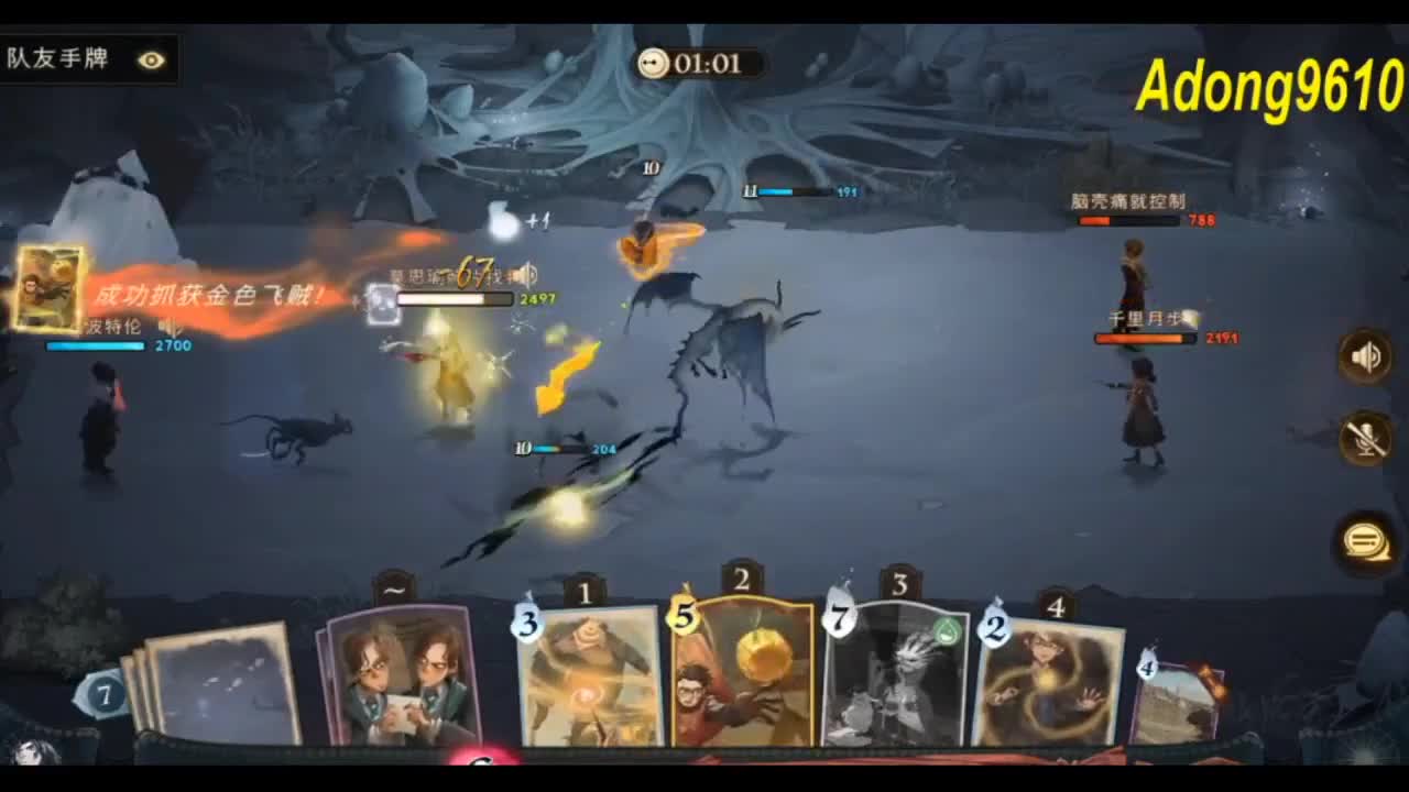 看直播。领金卡 第1段