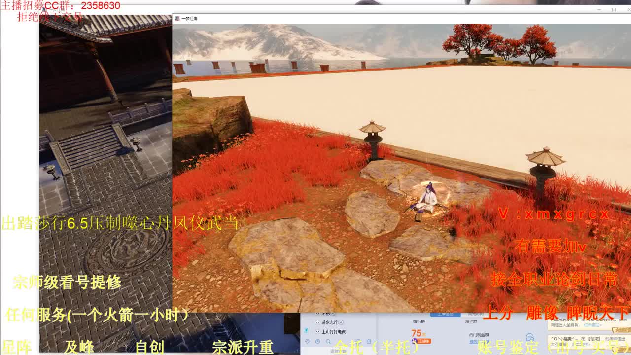 新手导师  看号  提修   账号估价 第1段