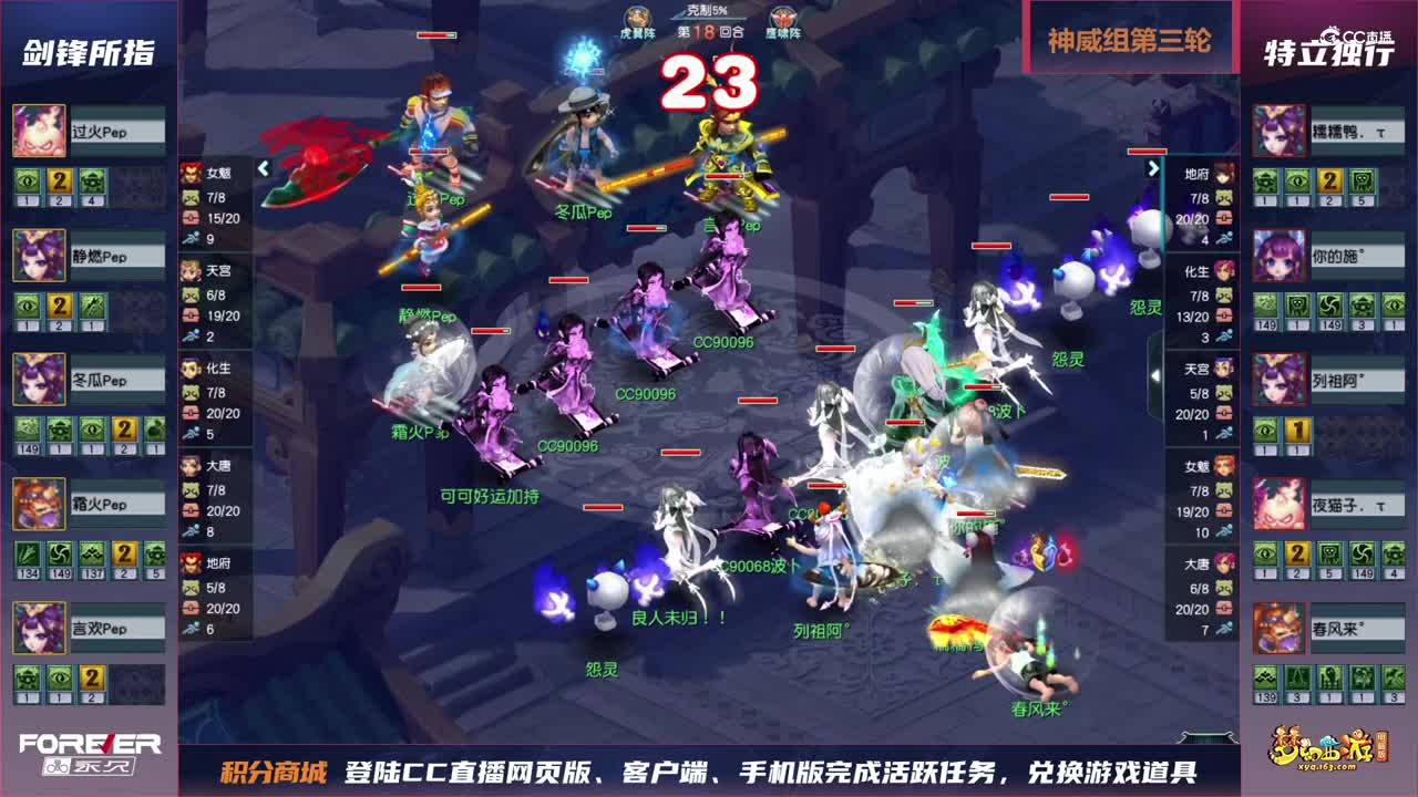 【三界之星邀请赛-冬季赛】神威组第三轮：剑锋所指VS特立独行【CC情报站】