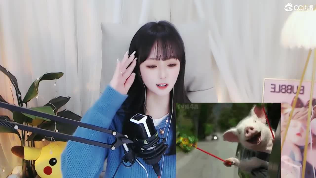 69广东四区白云山 第1段