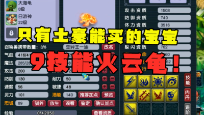 梦幻西游：“这宝宝只有王谢能买”，罕见9技能火云龟，仅此一只！