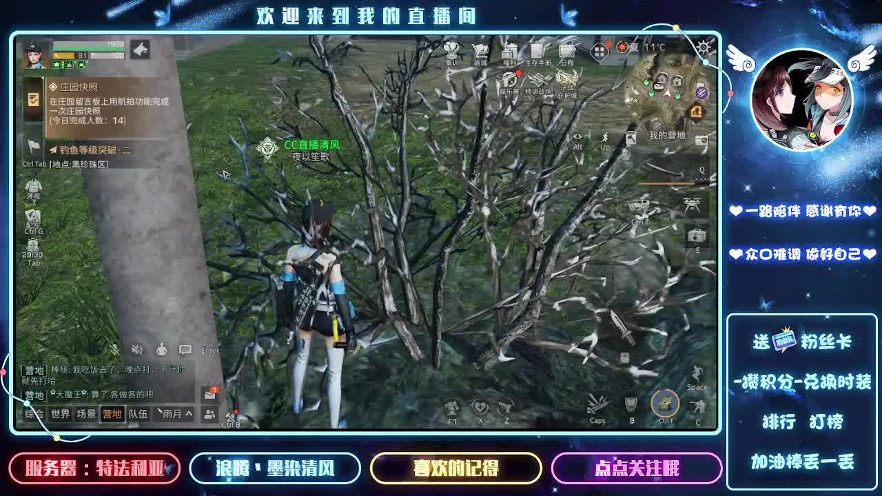 头可断血可流老子是你可遇不可求