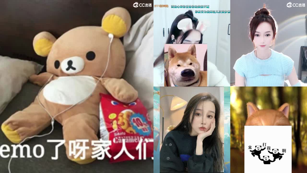 勇武唱歌菜猪 第2段