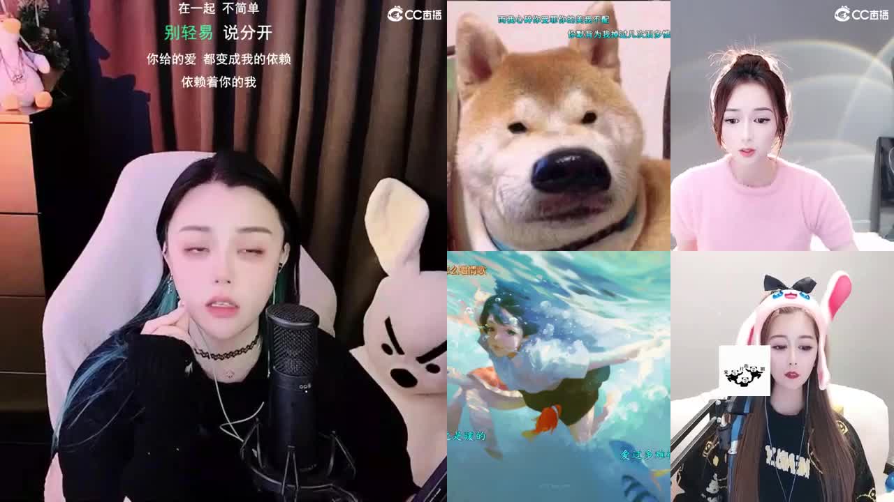 勇武唱歌菜猪 第2段
