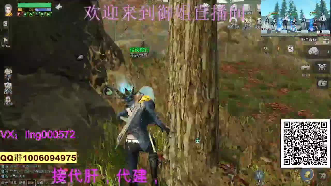 在线代肝代建 第2段