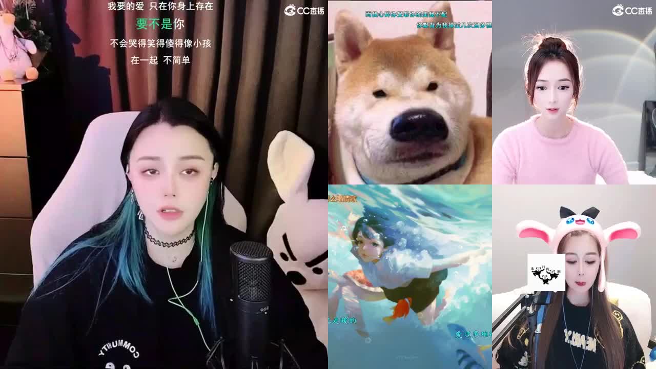 勇武唱歌菜猪 第2段