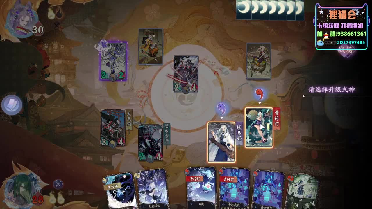 神奇卡组【狸猫会】