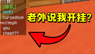 我的世界：外国玩家说我开G？事情的原因让我哭笑不得！
