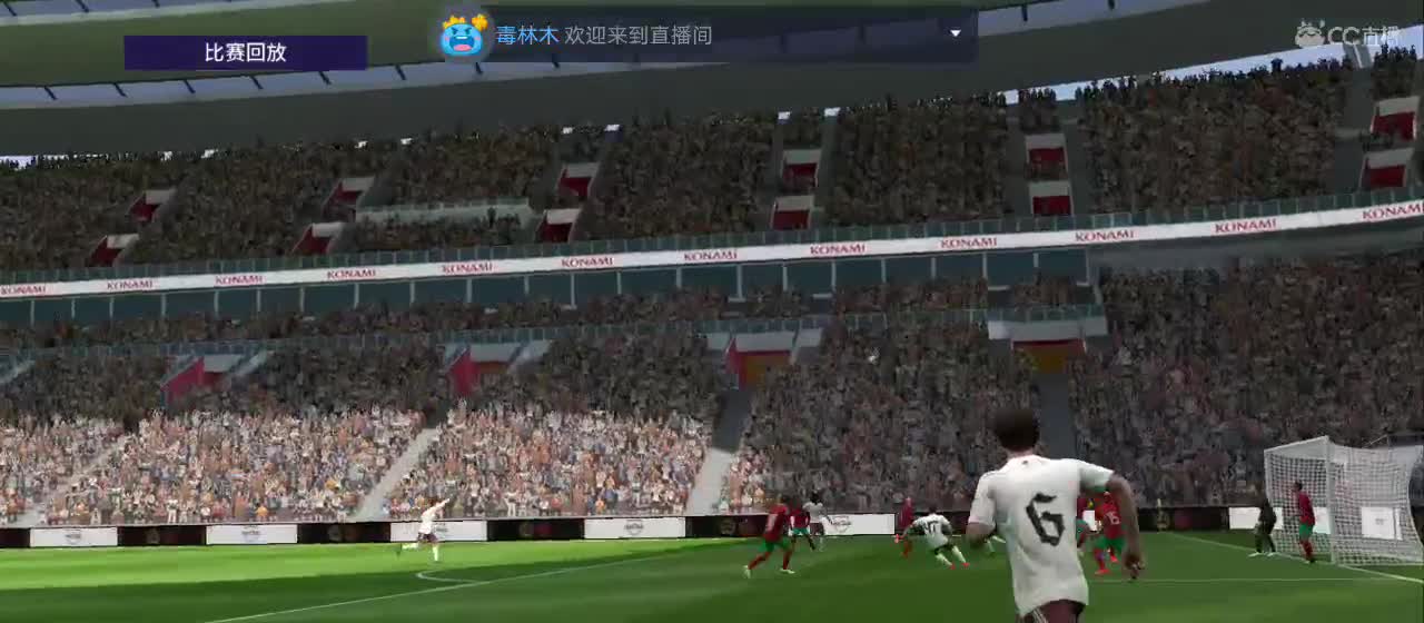 随风飘扬