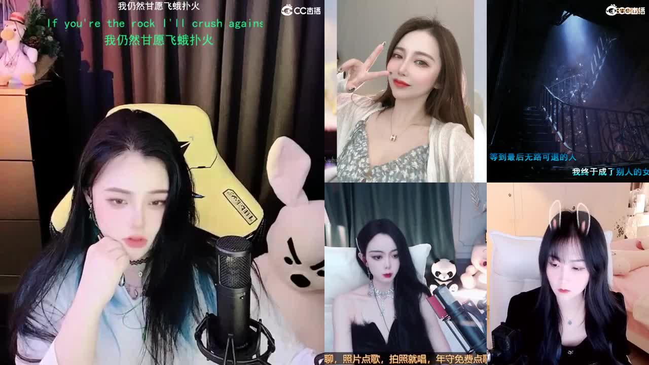 唱歌的勇武菜猪