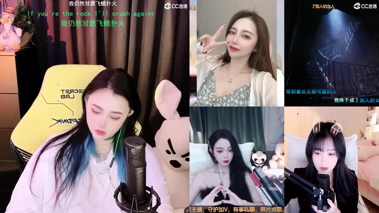 唱歌的勇武菜猪 第1段